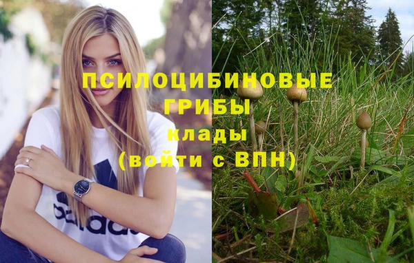 бошки Балахна