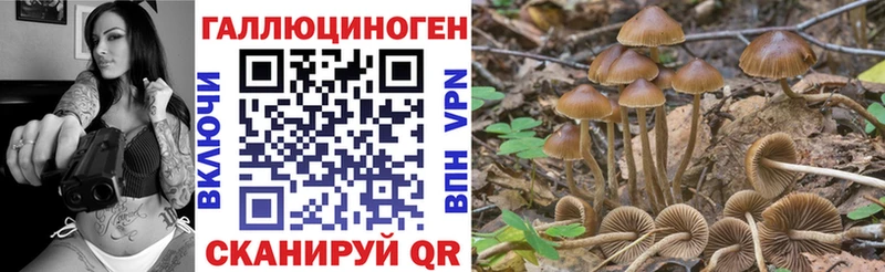маркетплейс как зайти  Светлогорск  Галлюциногенные грибы Cubensis  ссылка на мегу вход 